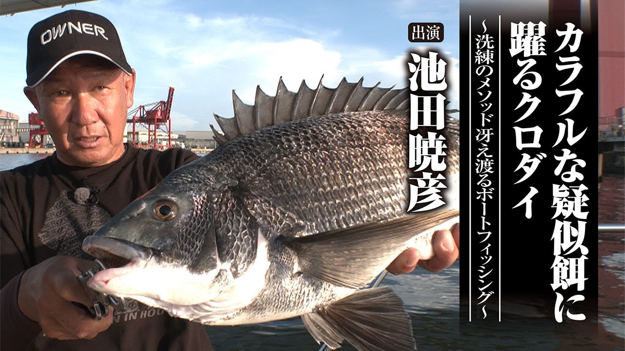 #639 カラフルな疑似餌に躍るクロダイ～洗練のメソッド冴え渡るボートフィッシング～