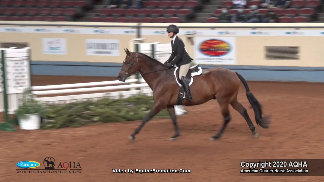 2020 AQHA Amateur Equitation Over Fences