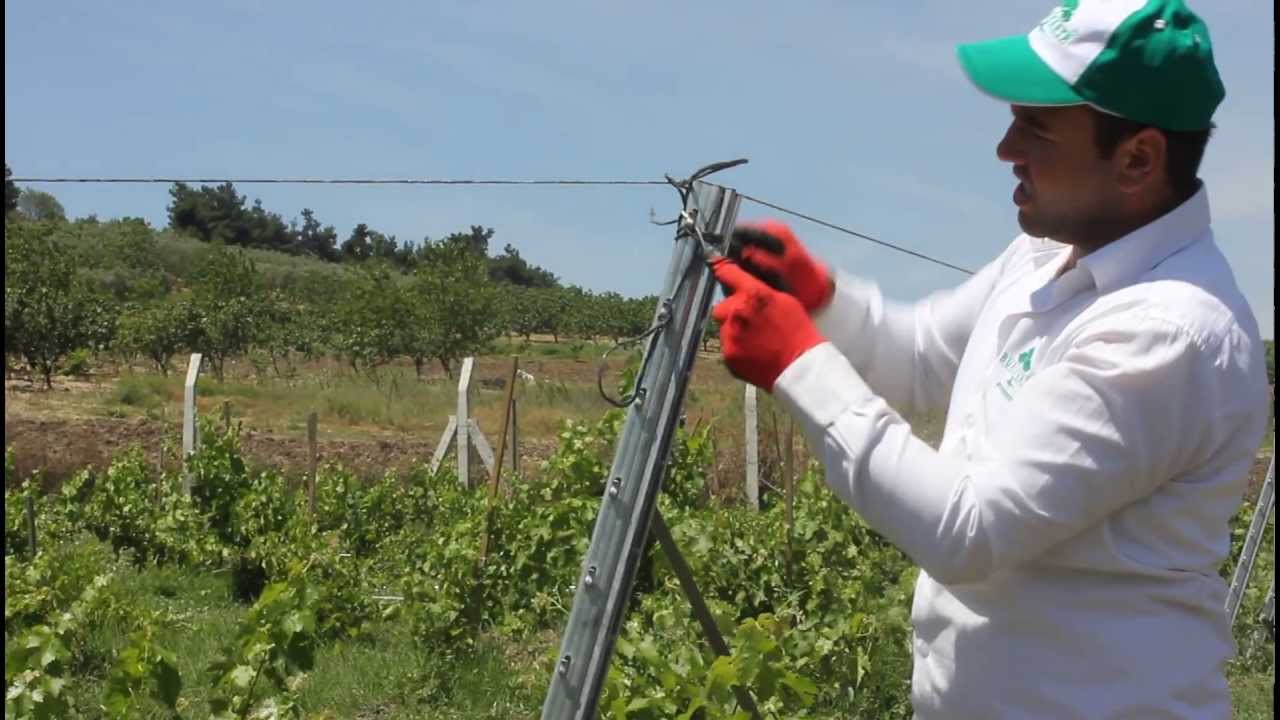 BUTAFIX MONTAJ Baş direk gergisi - Tip 2  BURSATARIM Bağ ürünleri
