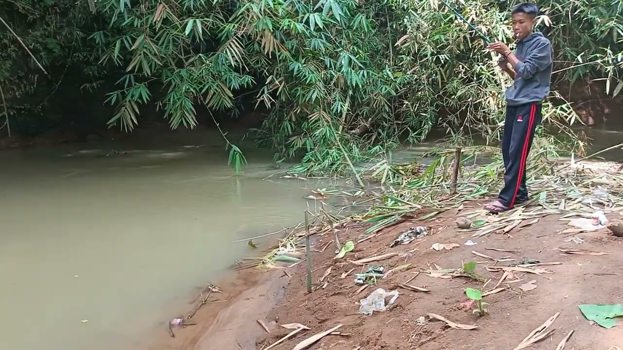 SUTREK WADER KEPEK MANTAP SEKALI TARIKANNYA 🎣