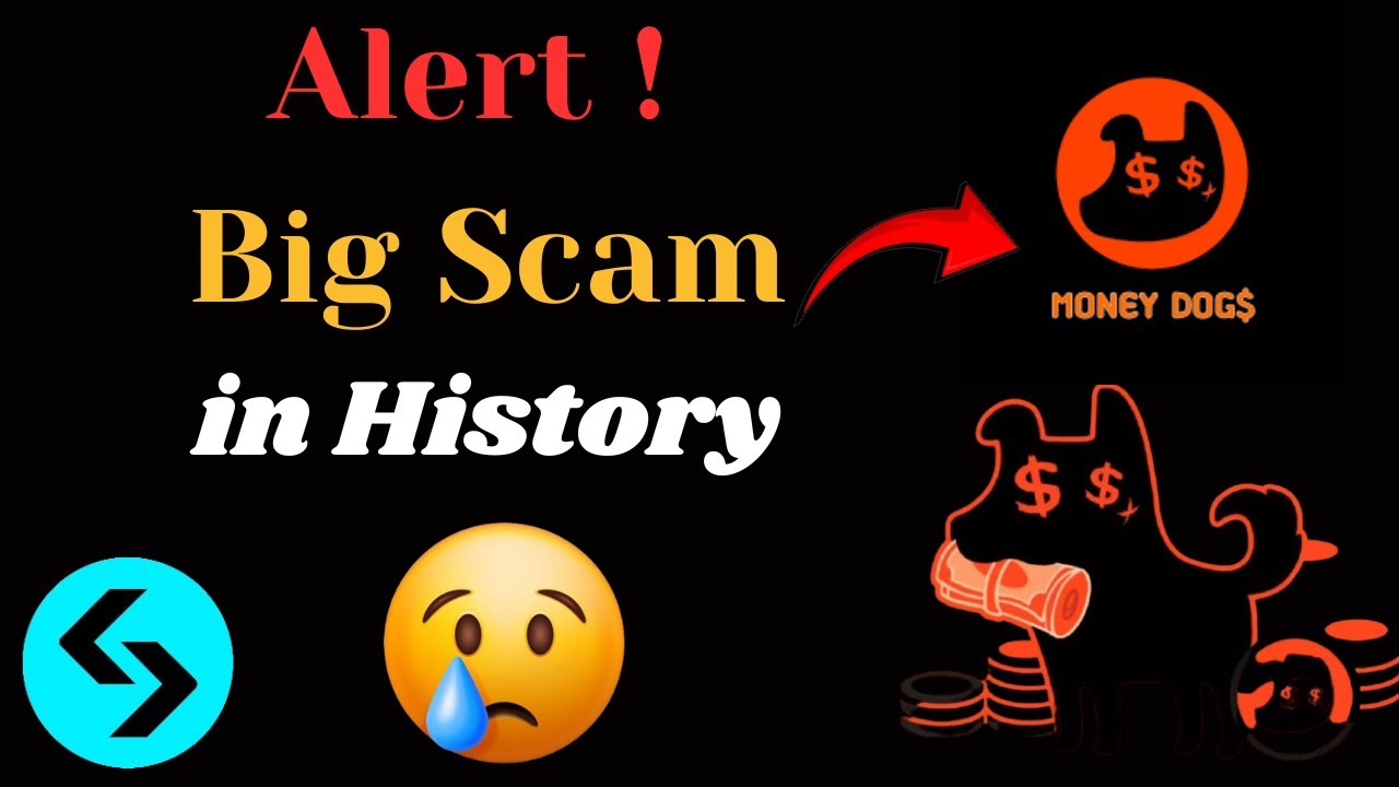 Money Dogs Token Claiming Start | Money Dogs airdrop Listing Date | Money Dogs new Update.