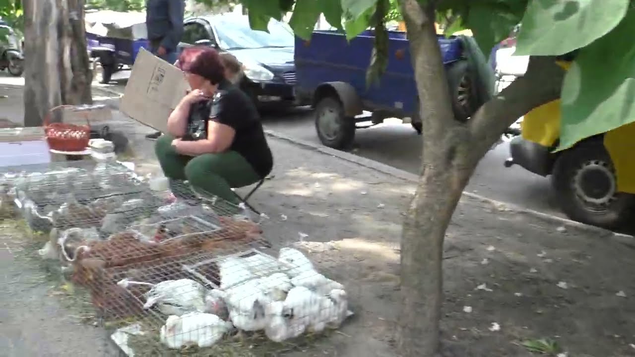 Виставка ярмарок  у Вознесенську 14 06 25