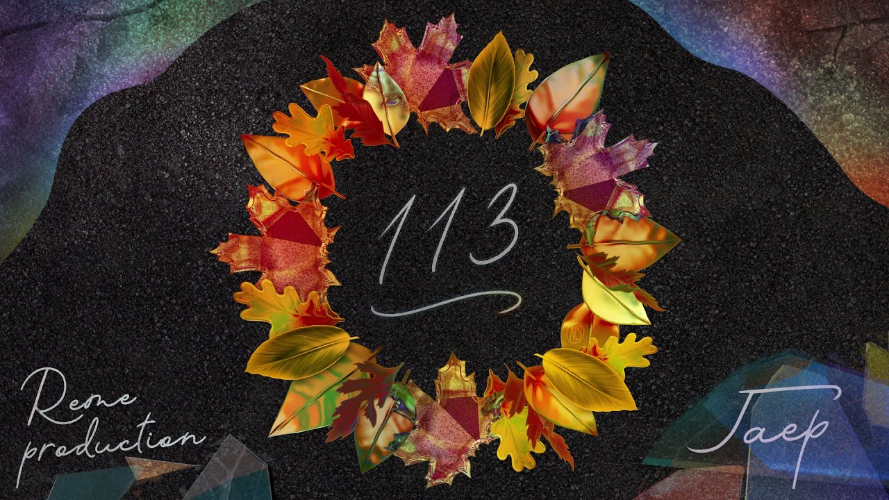 ГАЕР - 113