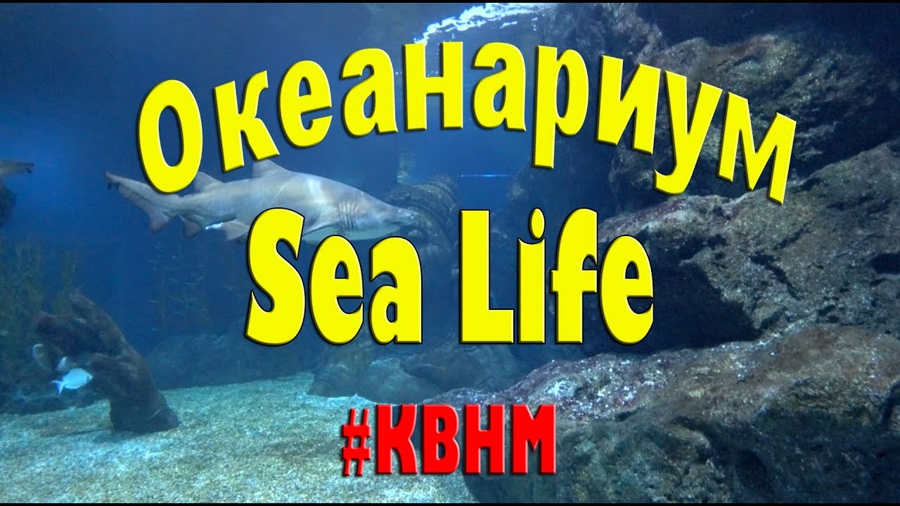 БАНГКОК. Океанариум Sea Life