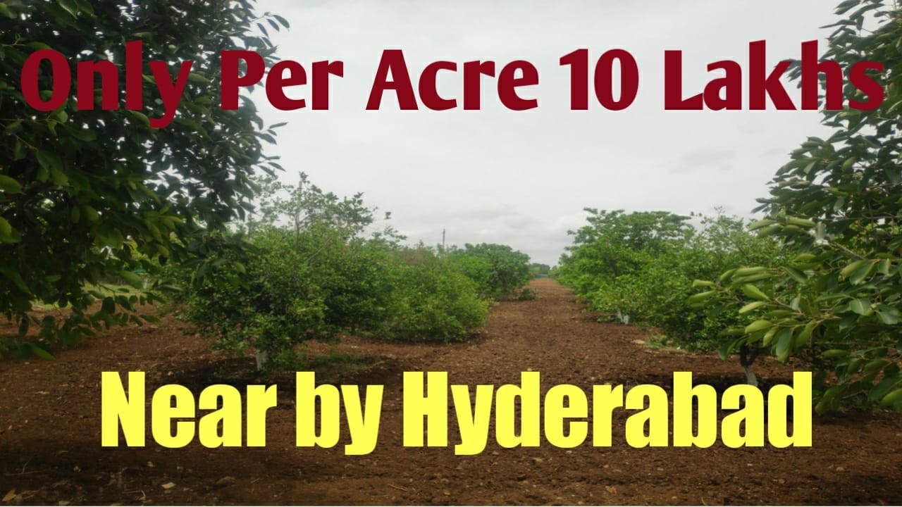 Farm Lands Per Acre 10 Lakhs Only||350 Acres||100 KM Hyderabad Surrounding ||Golden MAPS Property||