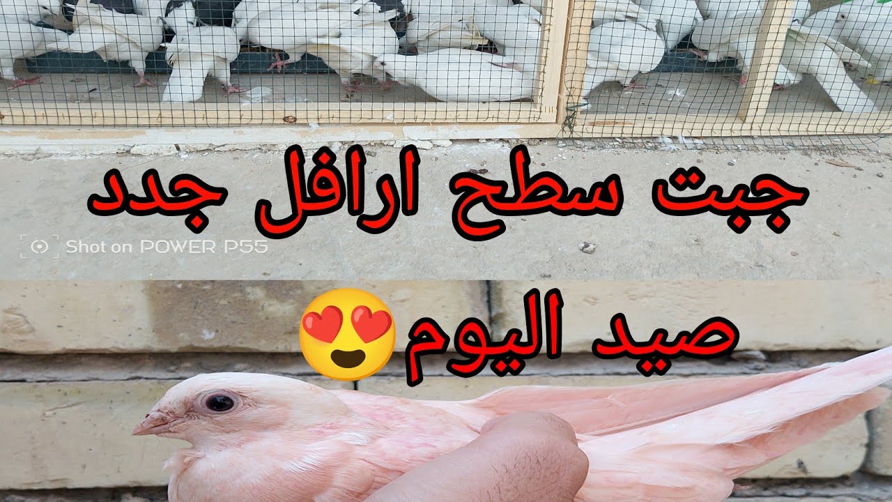 اول يوم بالسطح الفوك صيد 😍 وجبت سطح ارافل ع فك تعالو تونسو 😍😍