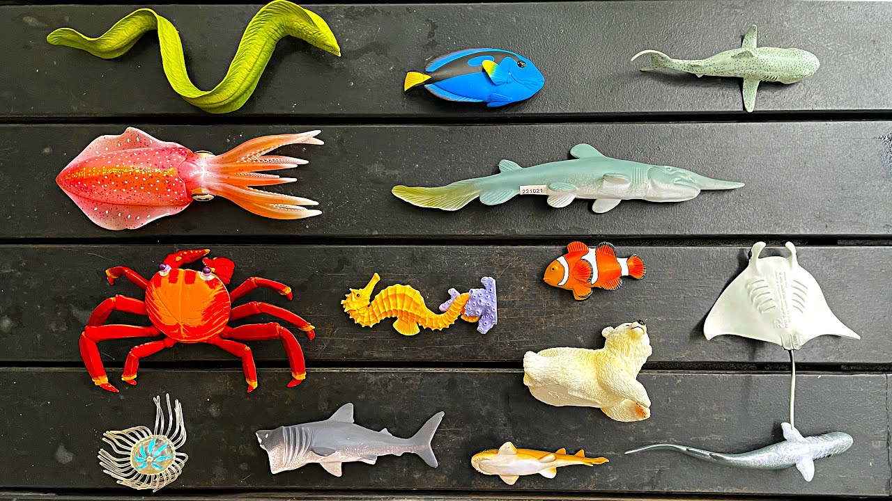 Sea Animals - Goblin Shark, Moray Eel, Emperor Penguin, Turtle, Jellyfish Octopus, Harp Seal 13+