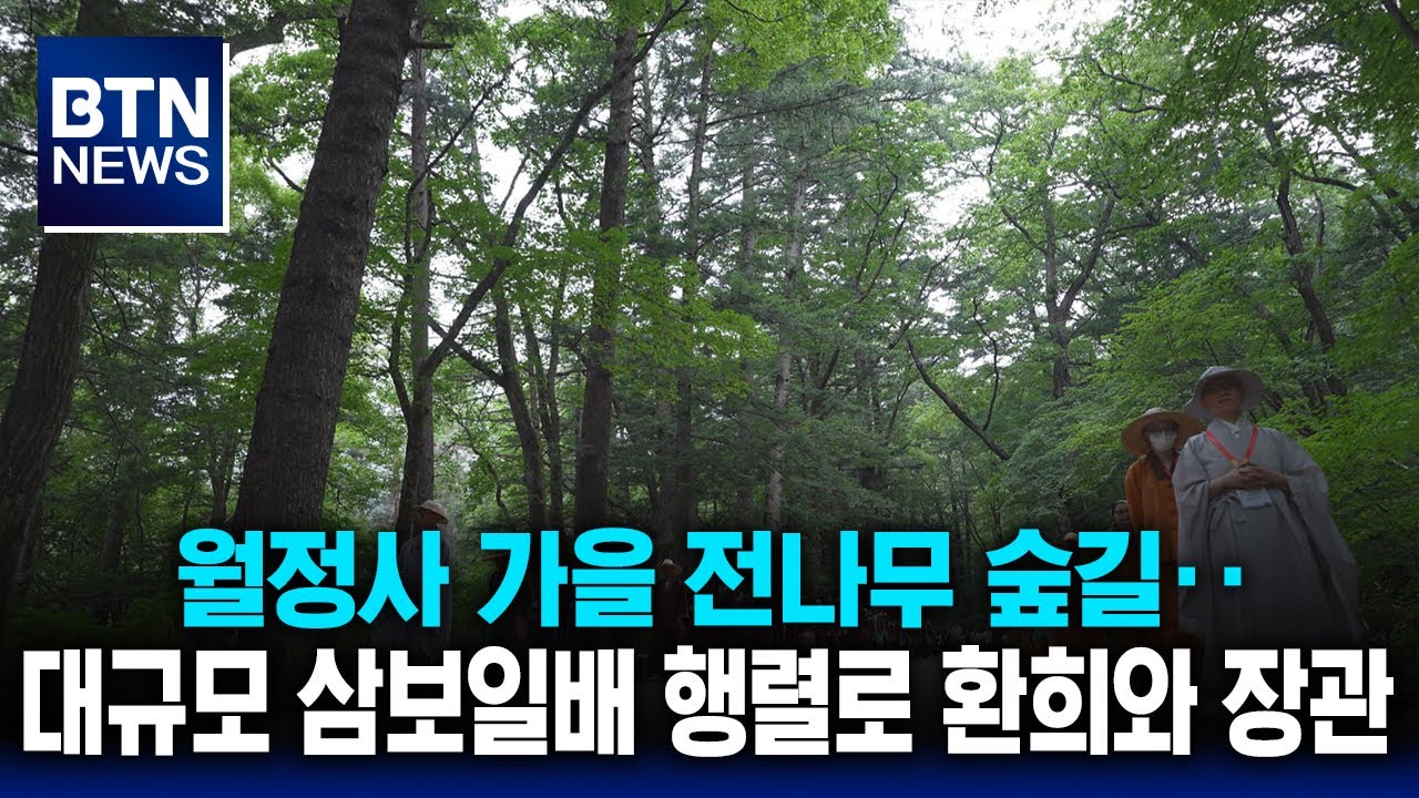[BTN뉴스] 월정사 가을 전나무 숲길‥대규모 삼보일배 행렬로 환희와 장관