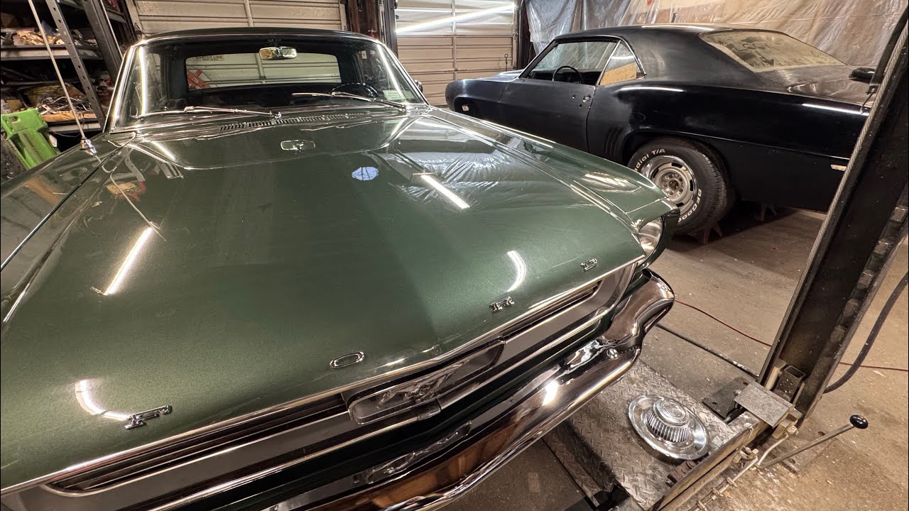 This mustang and camaro got along just fine. 