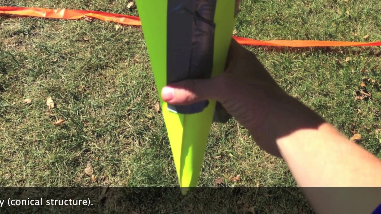 Paper Cone Egg Drop Analysis (PHYSICS EXPLAINED)