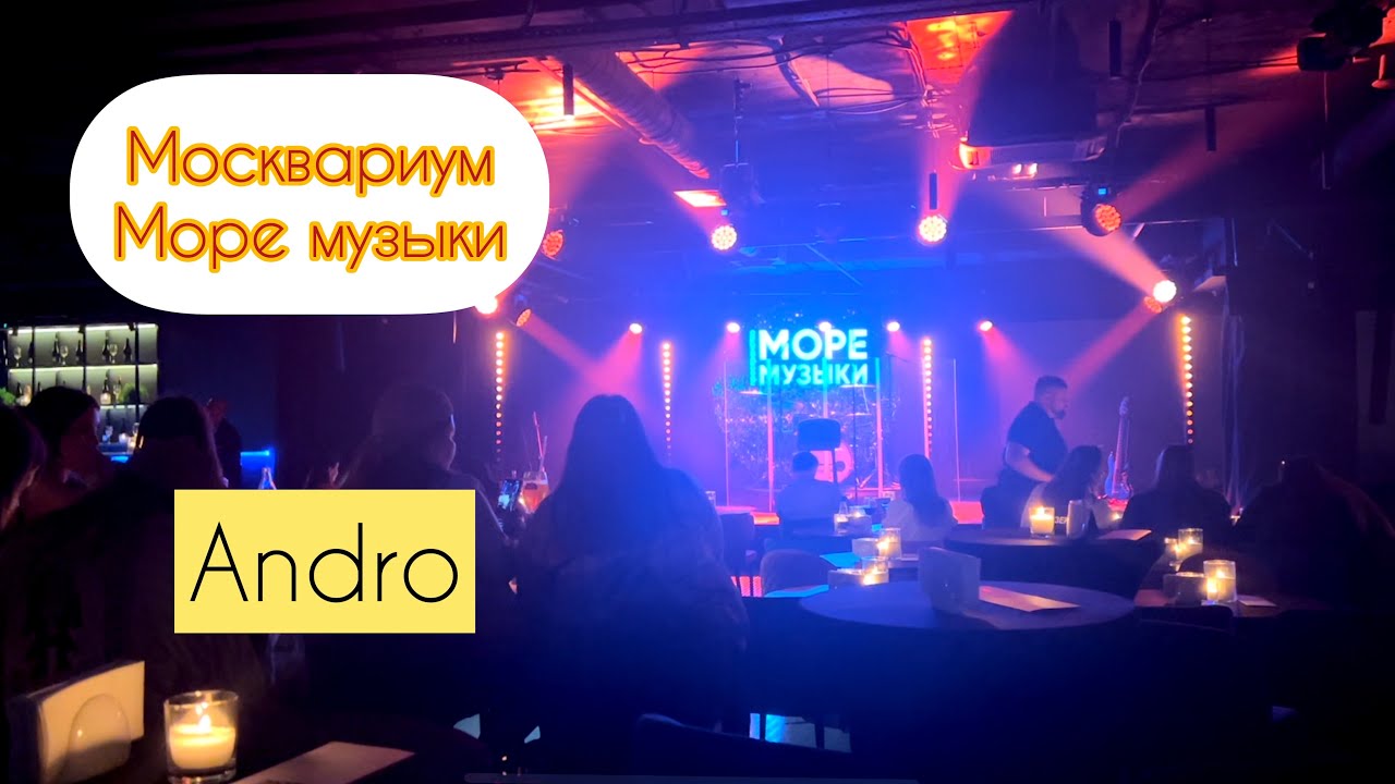 Концерт Andro в Москвариуме | Море музыки | Дельфины и белуха смотрят концерт