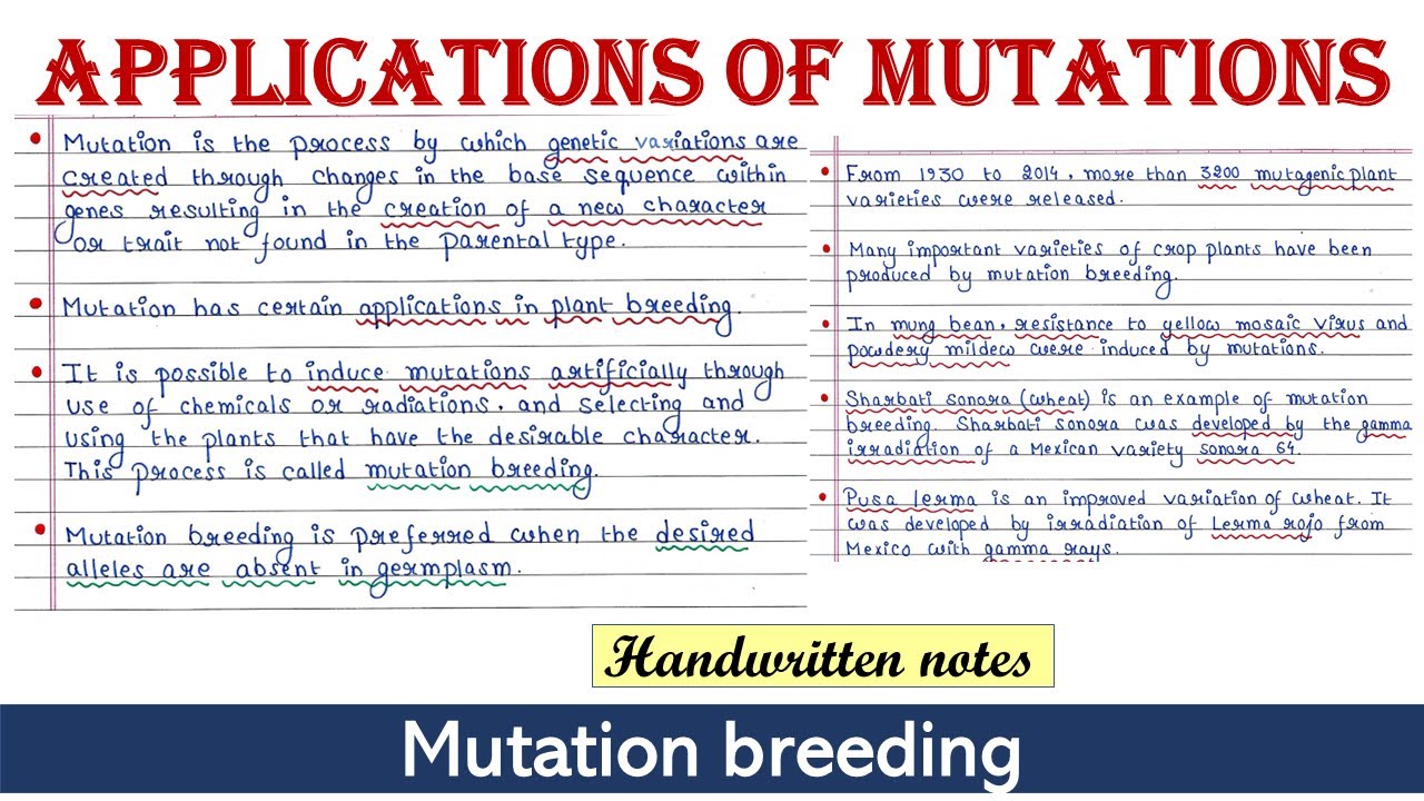 Applications of mutations | Mutation breeding