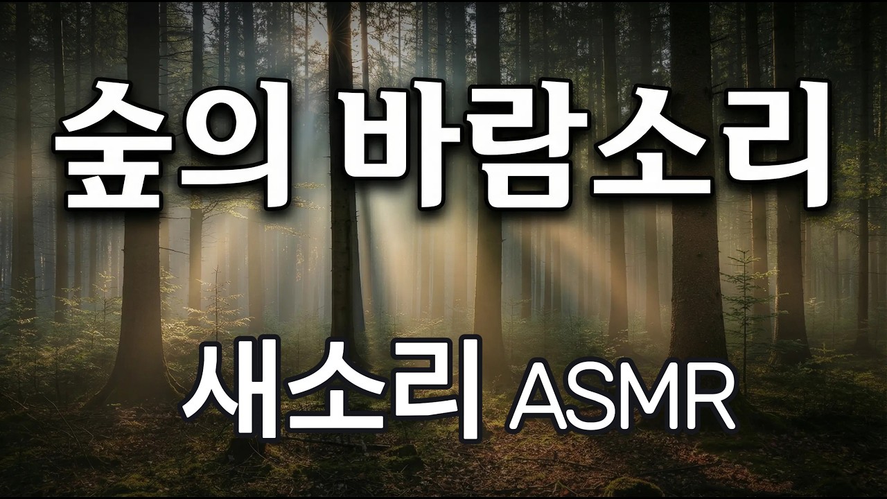 숲속 바람소리와 새소리 2시간 | Deep Sleep Nature Sounds #Sleep #Relax, #No Music)