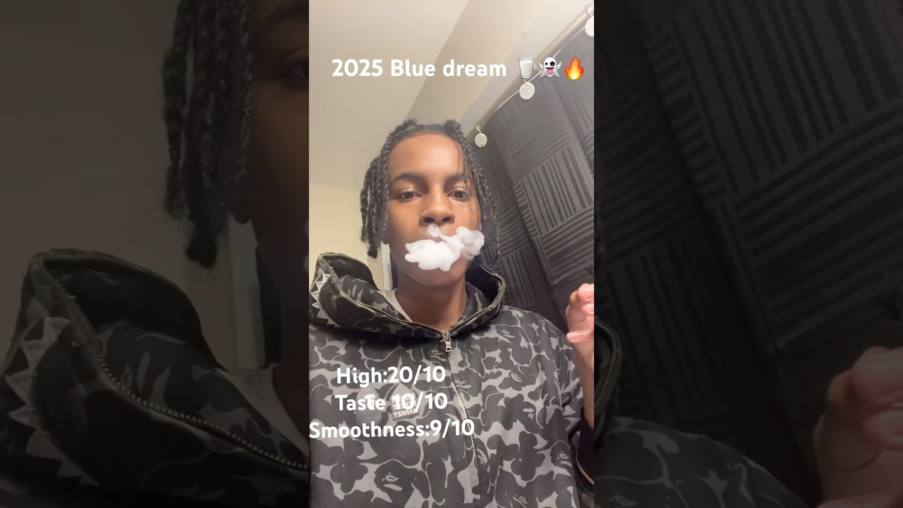 Muha meds (Blue dream) 2025 review 🔥🫐#blinkershorts #smoker #highofflife #highlifer #med #muhammad