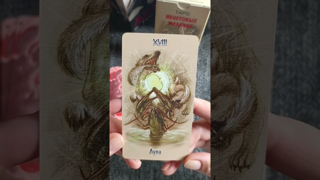 🔥🔥🔥ОБЗОР ТАРО НЕИСТОВЫХ ЖЕЛАНИЙ🌹 галлерея#таро #tarot #обзортаро