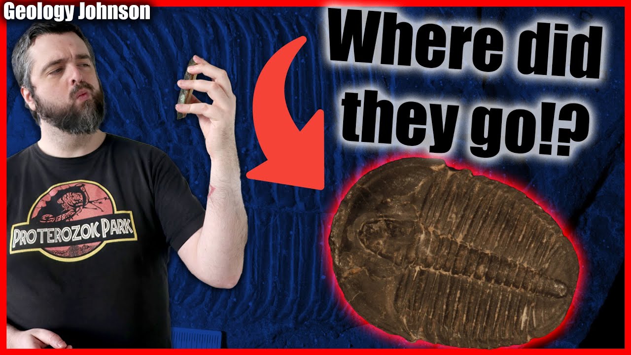 What are Trilobites? A Geologist Explains!