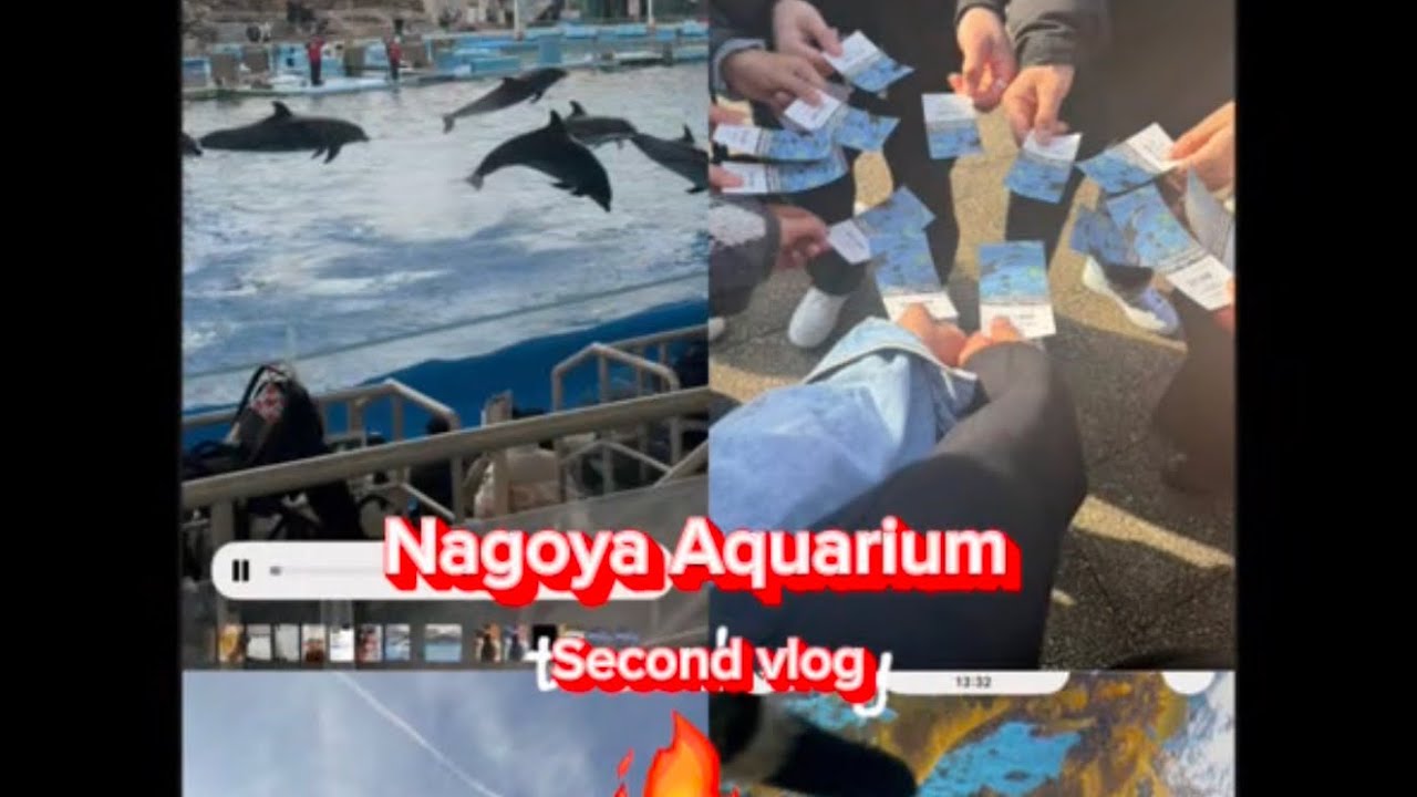 #foryou #fullvlog #nagoya aquarium A day with the sea creatures 