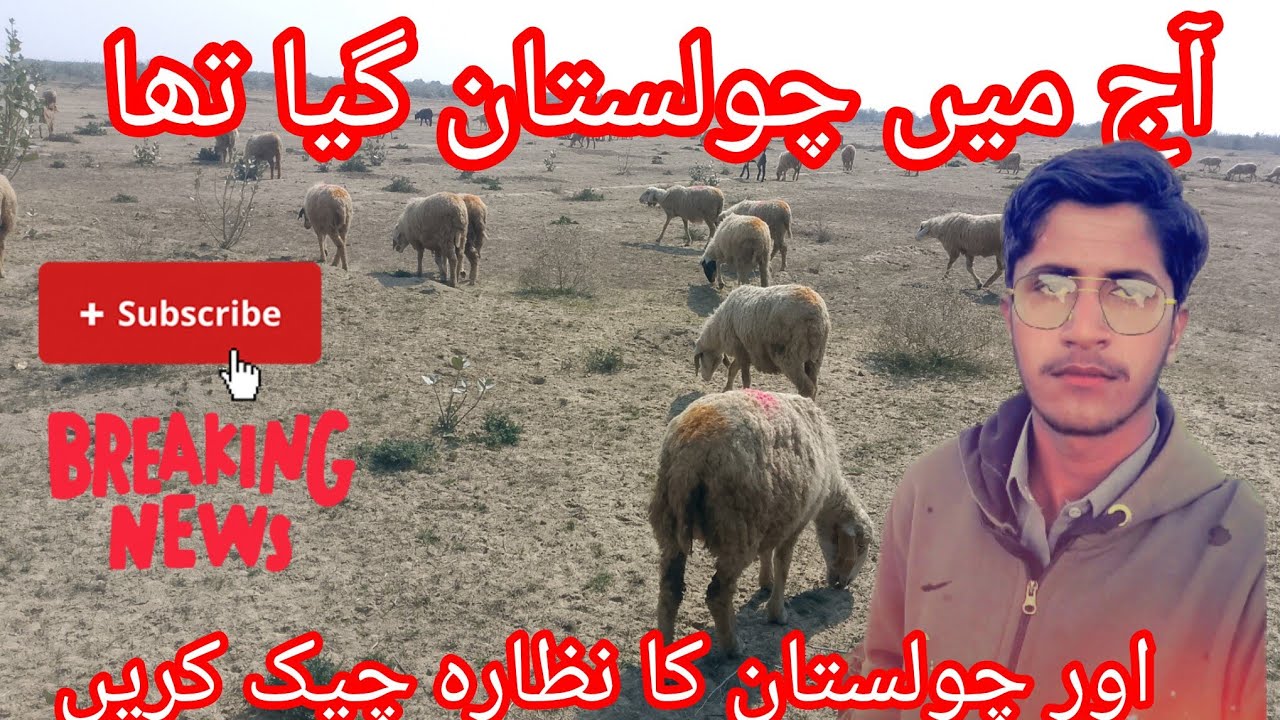 اج میں چولستان گیا تھا🏜️🏜️🏜️ بلوچستان کے صحرا خوبصورت نظارے