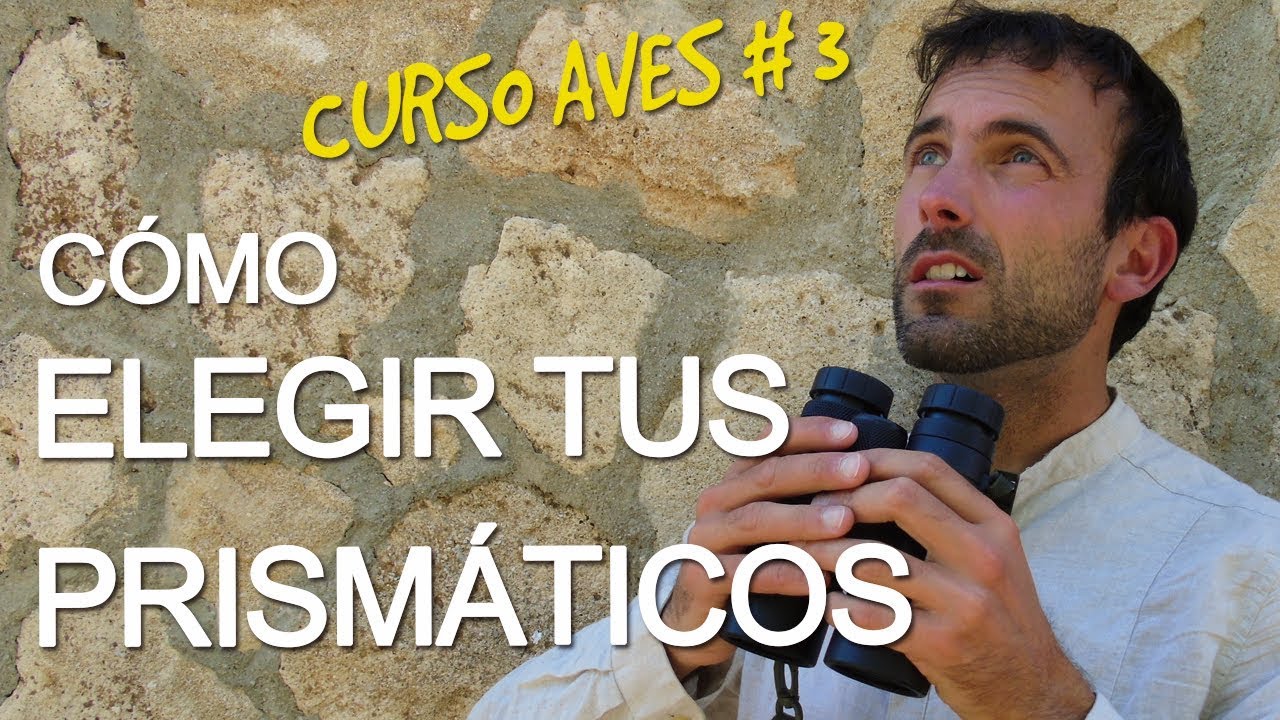 C&oacute;mo elegir unos prism&aacute;ticos o binoculares