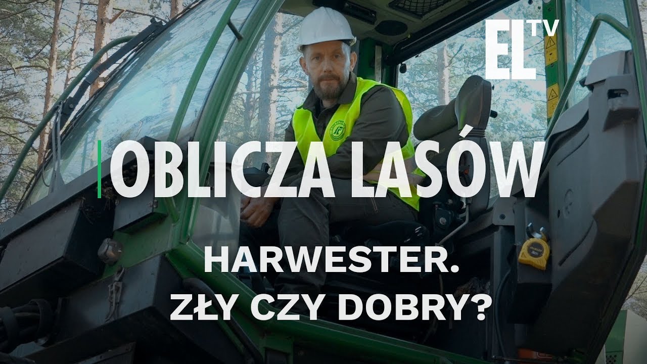 Harwester. Zły czy dobry? | Oblicza lasów #67