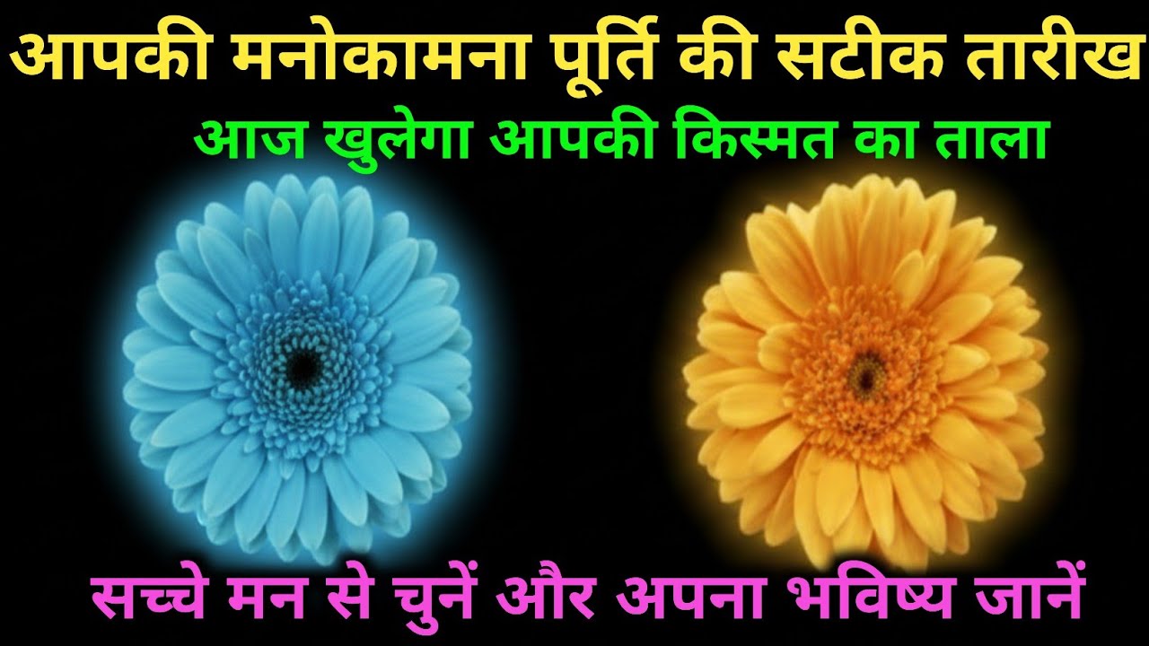 अपनी पसंद का फूल चुनें और जानें कब पूरी होगी आपकी मनोकामना! 🌸✨ Pick a card tarot 