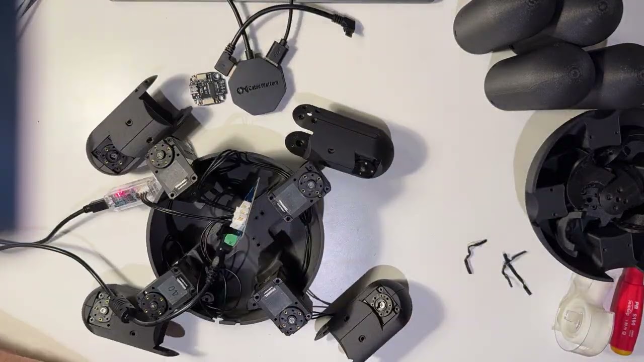 Assembly of the Embodied MuJoCo Ant