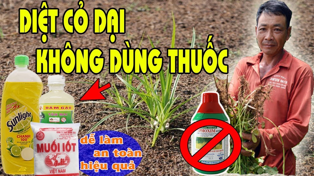 Diệt Cỏ An Toàn, Hiệu Quả Không Dùng Thuốc Hóa Học