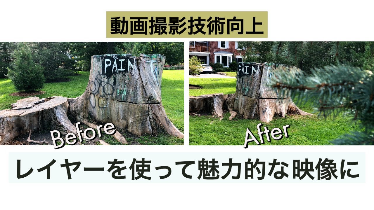 『動画撮影脱初心者』映像にレイヤーを使い奥行き感を出す方法をオタワの公園で試してみた