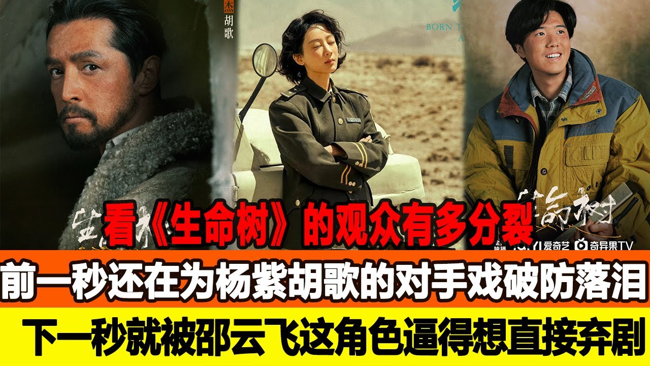 看《生命樹》的觀衆有多分裂？前一秒還在爲楊紫鬍歌的神仙對手戲破防落淚，下一秒就被邵雲飛這個角色逼得想直接棄劇，背後真相太絶了！在線八卦 #楊紫 #鬍歌 #梅婷 #李光潔