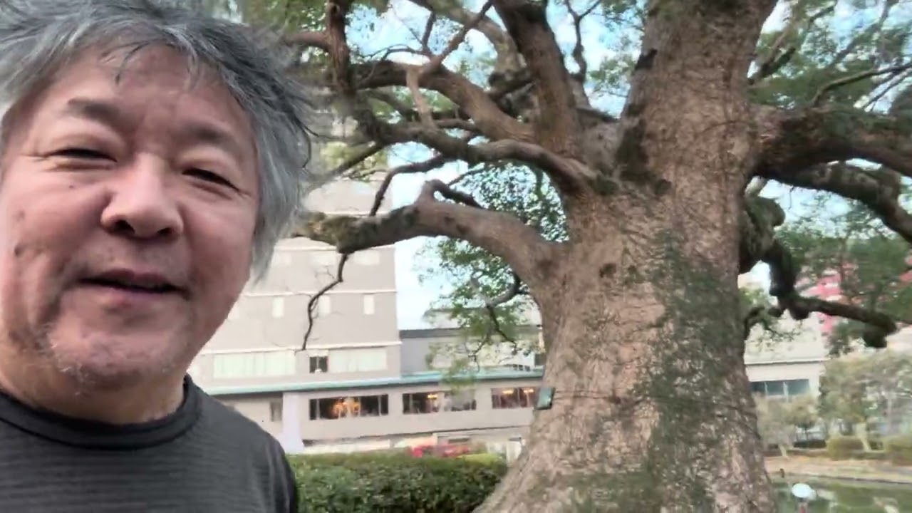 #旅ラン　さわやかな朝の佐賀、鳥たちと大木と。２０２６年１月出走。