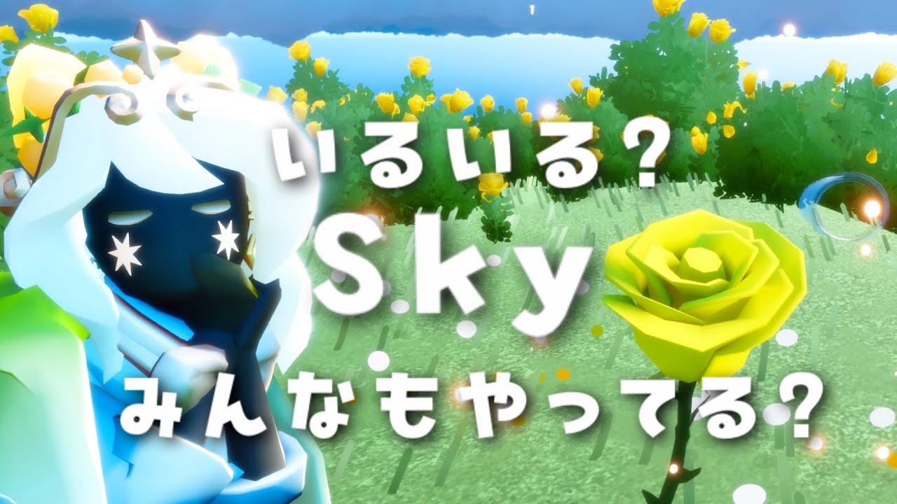 Sky あるある【気遣い】がイケメンな野良さん編
