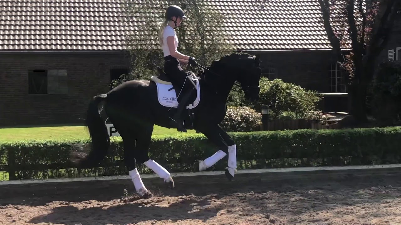 Fendi - Kr&uuml;sterhof Hinnemann - Training