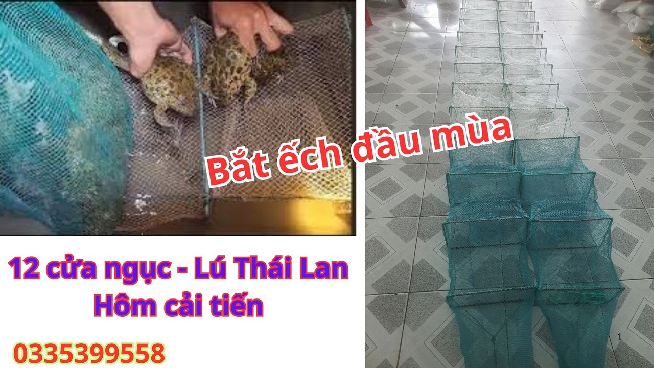 12 cửa ngục - lú thái lan hôm cải tiến khung 21 x 35 và 23 x 37, bắt ếch đầu mùa