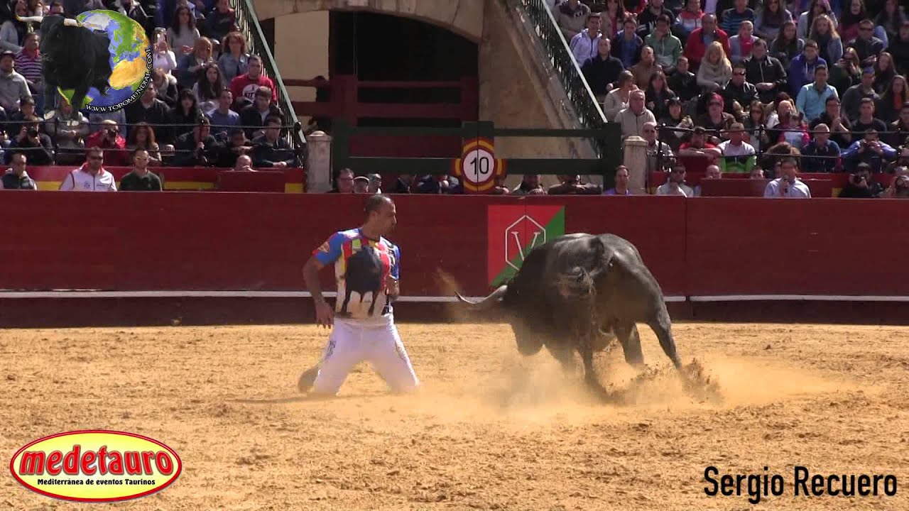 XX Concurso Nacional de Recortes con Toros · VALENCIA Fallas 2015