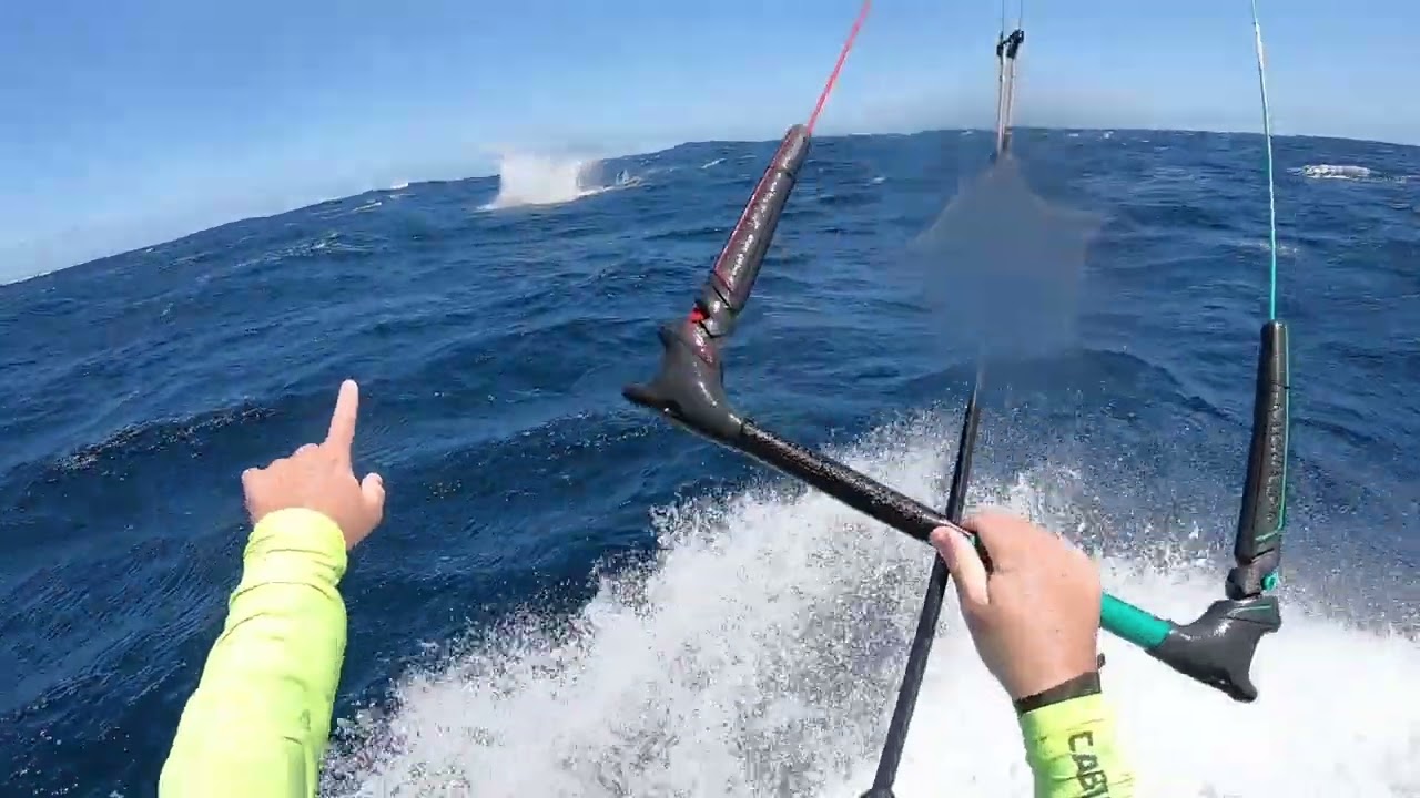 kitesurf Baleines Réunion