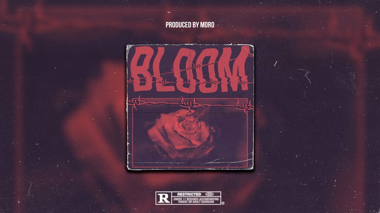 Bloom