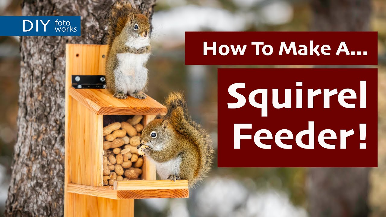 How to Make a Squirrel Feeder//Basic Woodworking!