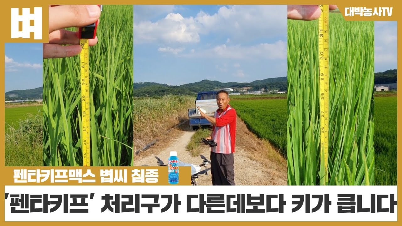[대박농사TV 72] 경기 화성시 