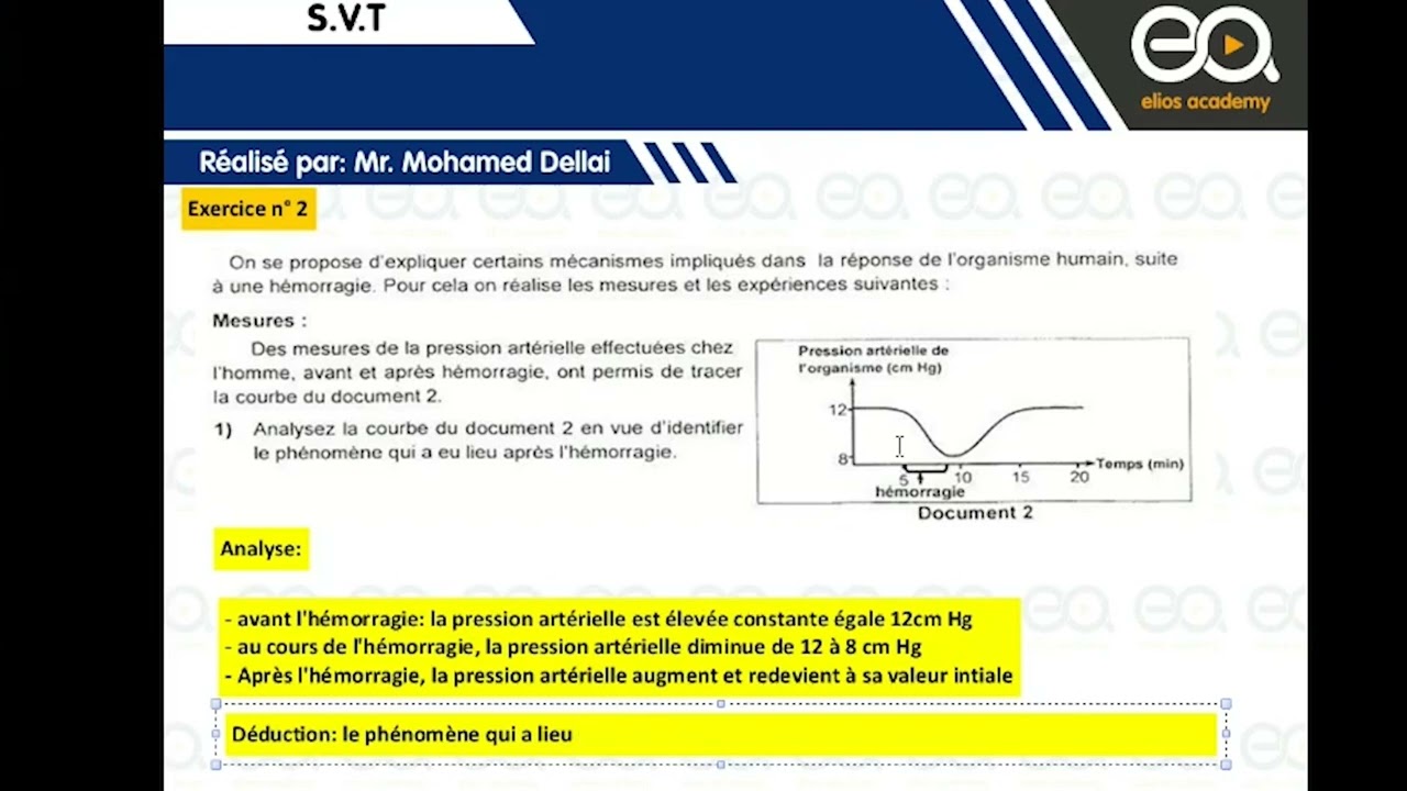[SVT] - la régulation nerveuse de la pression artérielle Exercice 2
