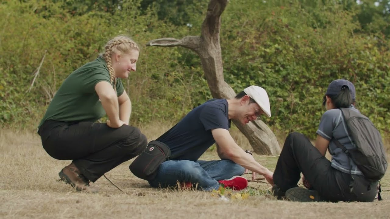 Community Activities at Hainault Forest