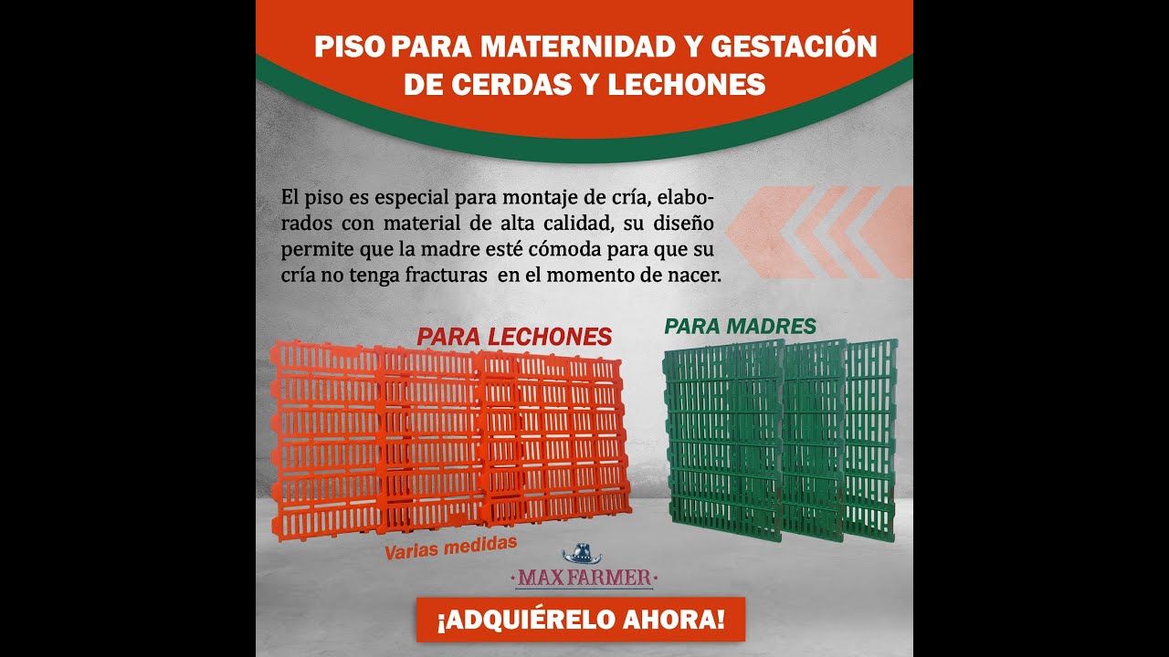 ¿No sabes como instalar pisos en tu granja porcícola? ¡ACÁ TE EXPLICAMOS!