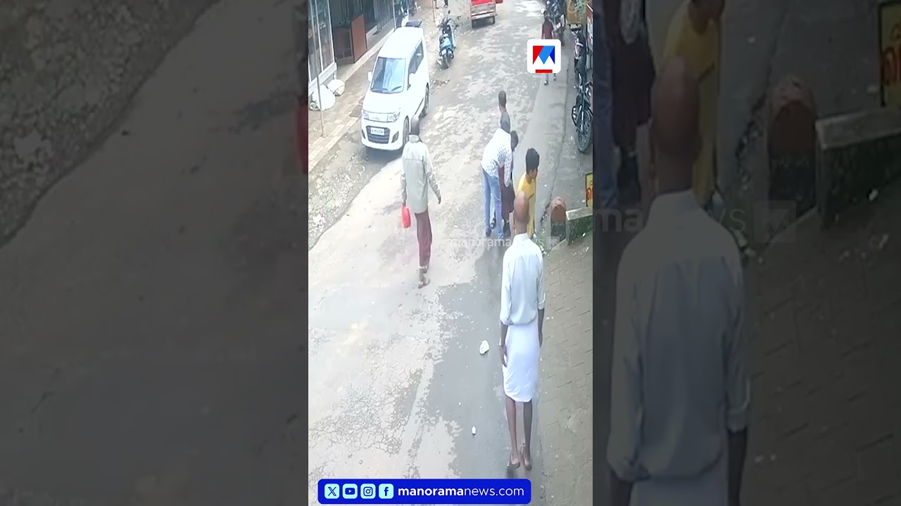 നഴ്സറി വിദ്യാർഥിനി ഓട്ടോയിൽ നിന്ന് തെറിച്ചുവീണു | Wayanad Child