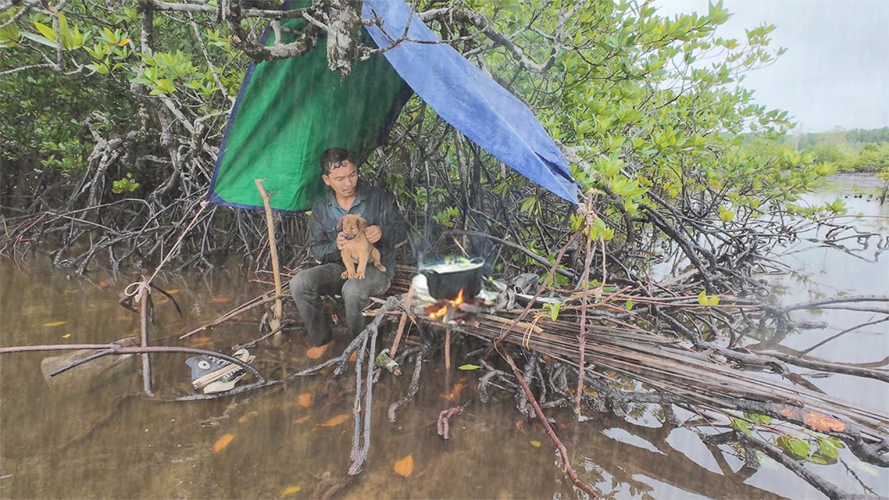 Rainy Day Survival in the Mangrove Forest | Building Shelter with My Dog!