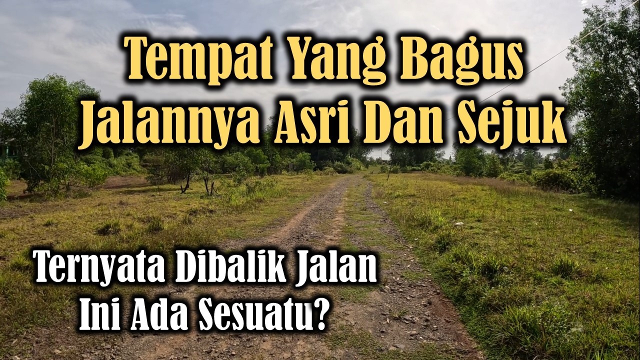 Di tempat Ini Ternyata Ada Perumahan!Lingkungannya Penuh Pohon Dan Asri Sejuk Tinggal Disini!