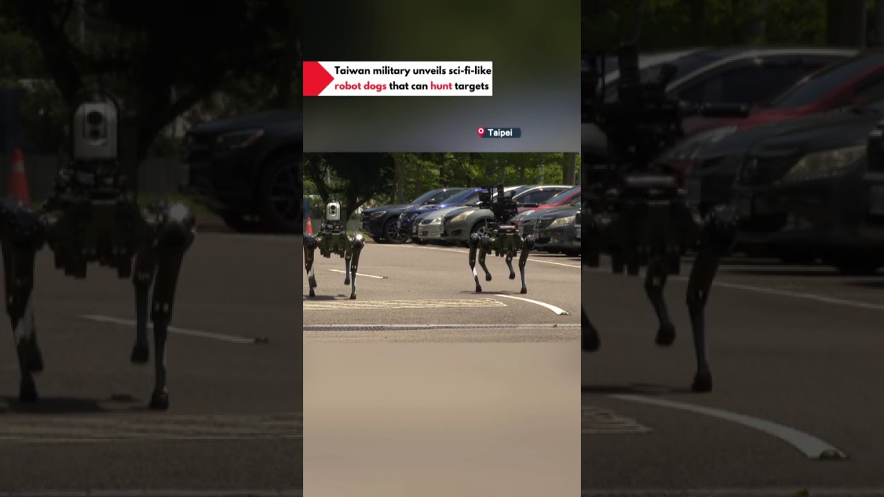 Taiwan military unveils sci-fi-like robot dogs that can hunt targets