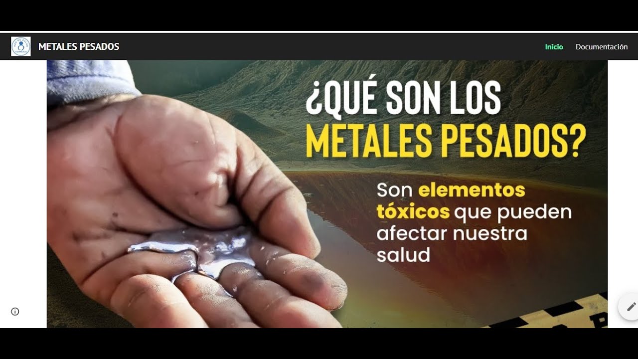 VIGILANCIA EPIDEMIOLÓGICA METALES PESADOS
