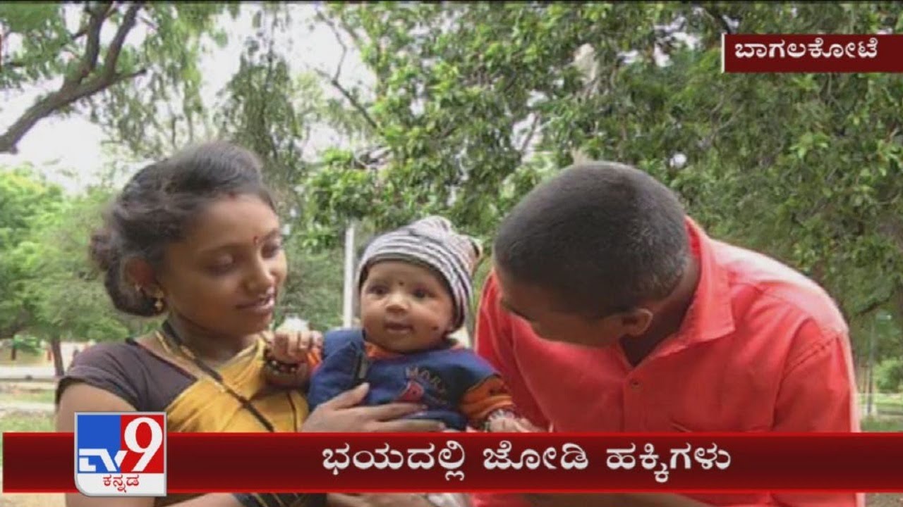 Newly married couple alleges threat from parents in Bagalkote