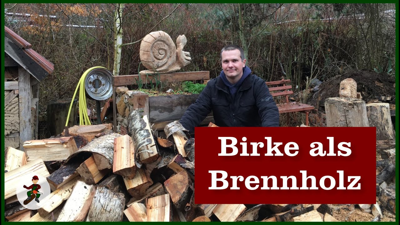 Birke als Brennholz