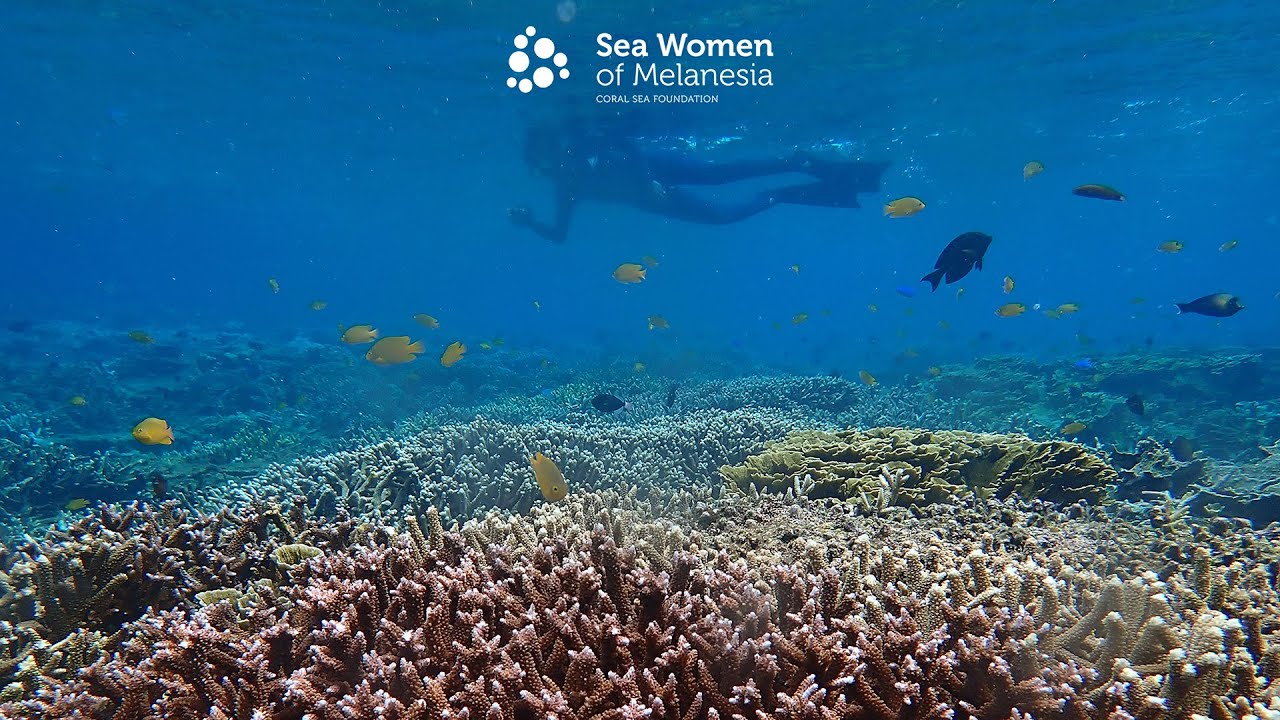 Sea Women of Melanesia - Emerging Climate Champions