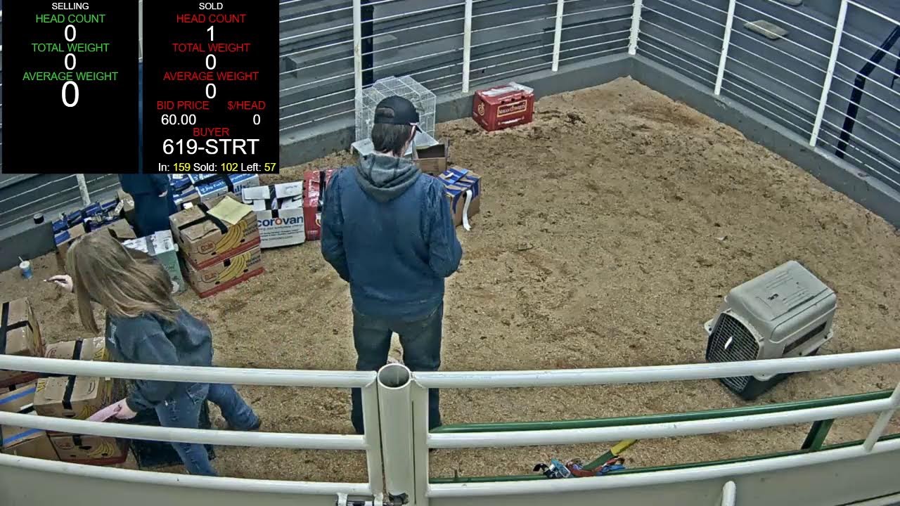 Everson Auction Market Live Stream 2/9/2026